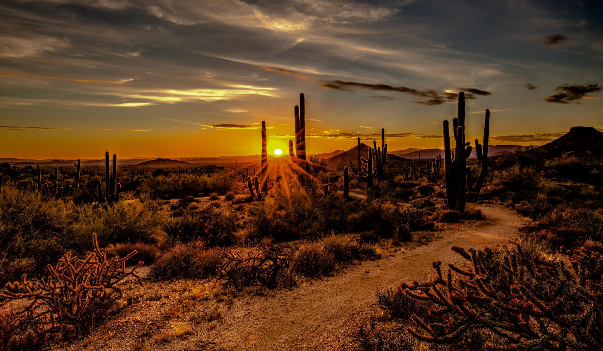 arizona desert landscape