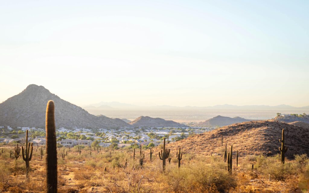 Image of a Desert landscape.